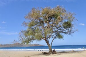 Playa Negra – Playa Ostional