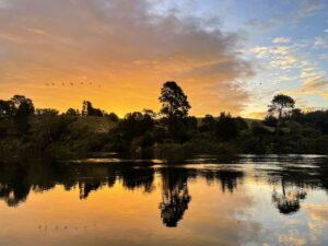 Te Aroha – Arapuni